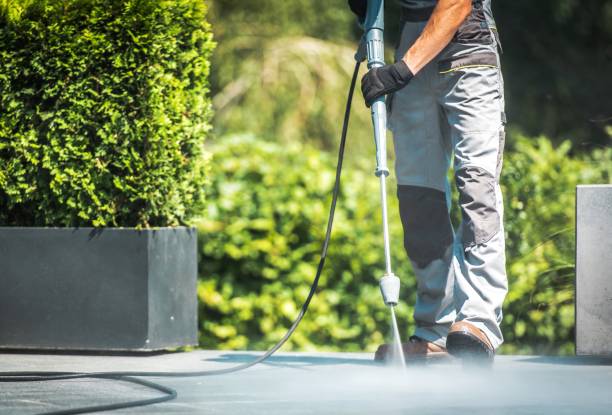 Best Building Exterior Washing  in Holly, MI
