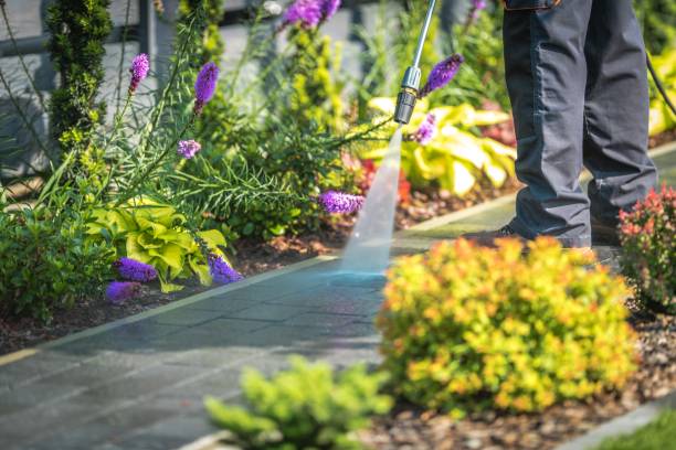 Best Boat and Dock Cleaning  in Holly, MI