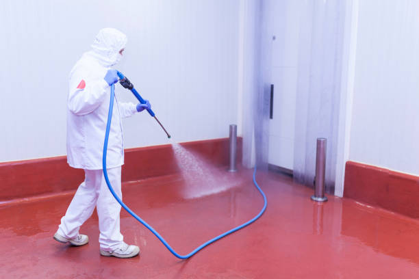 Best Pool Deck Cleaning  in Holly, MI