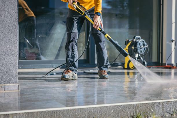 Best Fence Cleaning  in Holly, MI