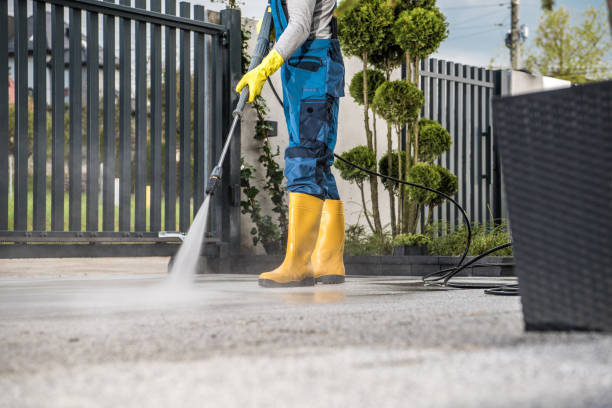 Best Animal Enclosure Cleaning  in Holly, MI