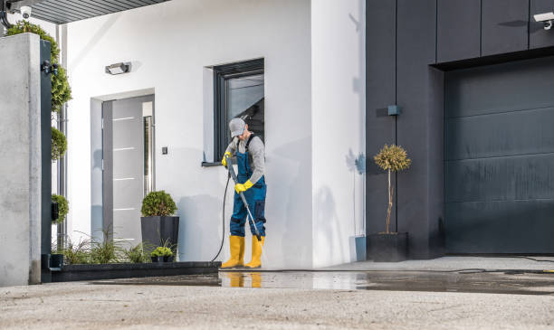 Best Sidewalk and Walkway Cleaning  in Holly, MI